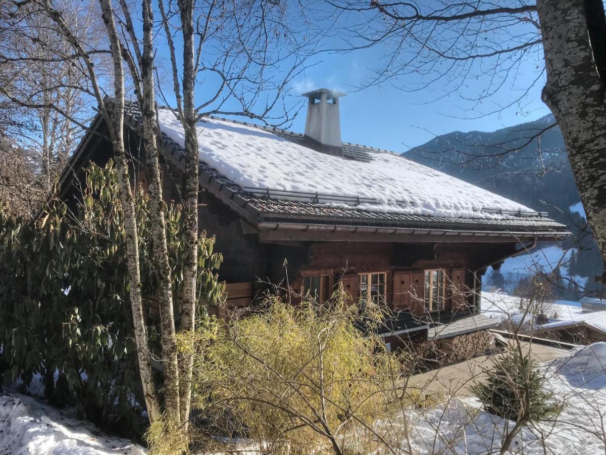 Les Jumelles Gstaad Exterior foto